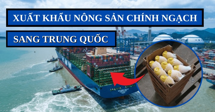 Thủ tục xuất khẩu nông sản sang Trung Quốc bằng đường biển